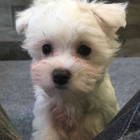 Casper