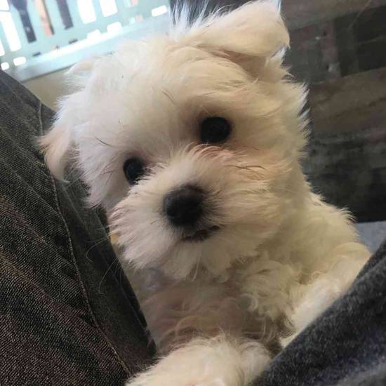 Casper