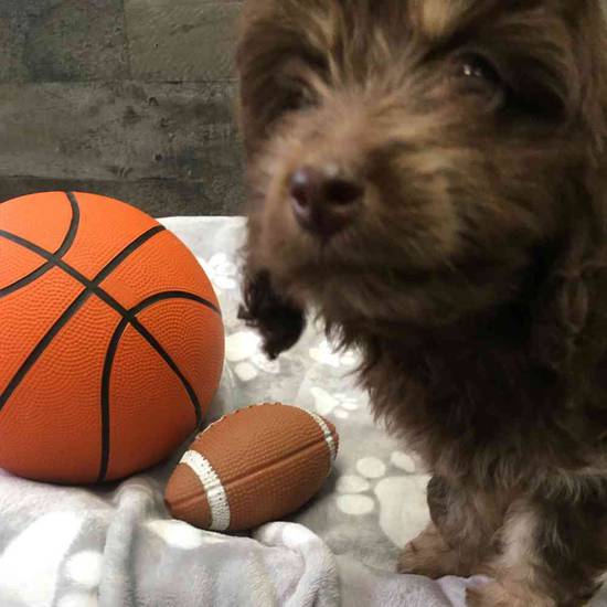 Winnie