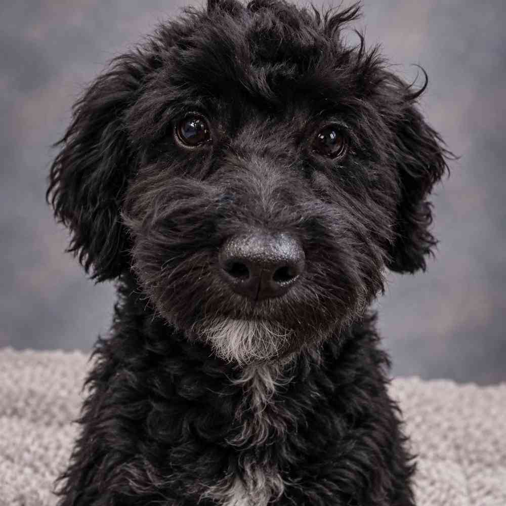 image_cropper_8B1555DA-21D3-42EE-9393-5E1212BE0E88-7811-000001DA1FB8BF13.jpg