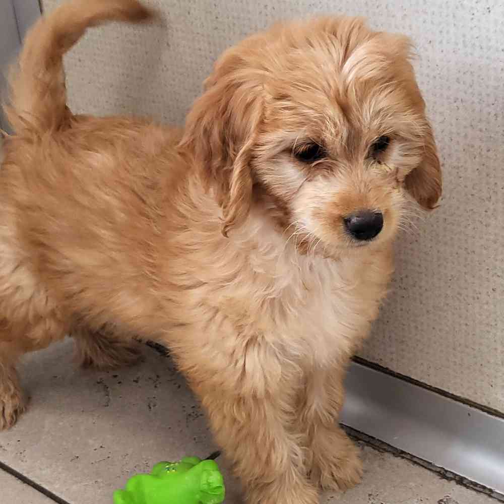 None