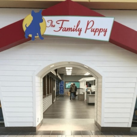 The Family Puppy of Genesee Valley Center