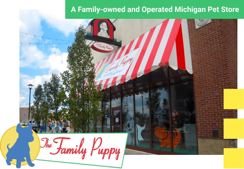 Puppies for Sale in Troy, Michigan 