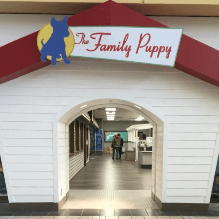 The Family Puppy of Genesee Valley Center