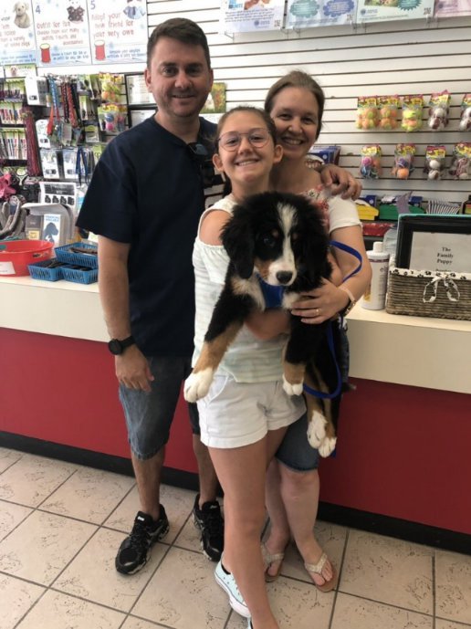 Three people holding up a large puppy.