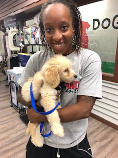 A woman holding a puppy with a blue leash.