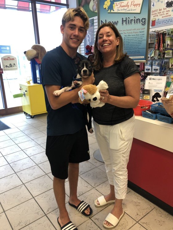 Two people holding a puppy and a stuffed animal.