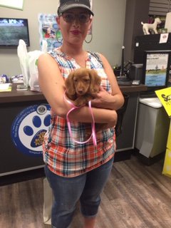 A woman holding a puppy with a pink leash.