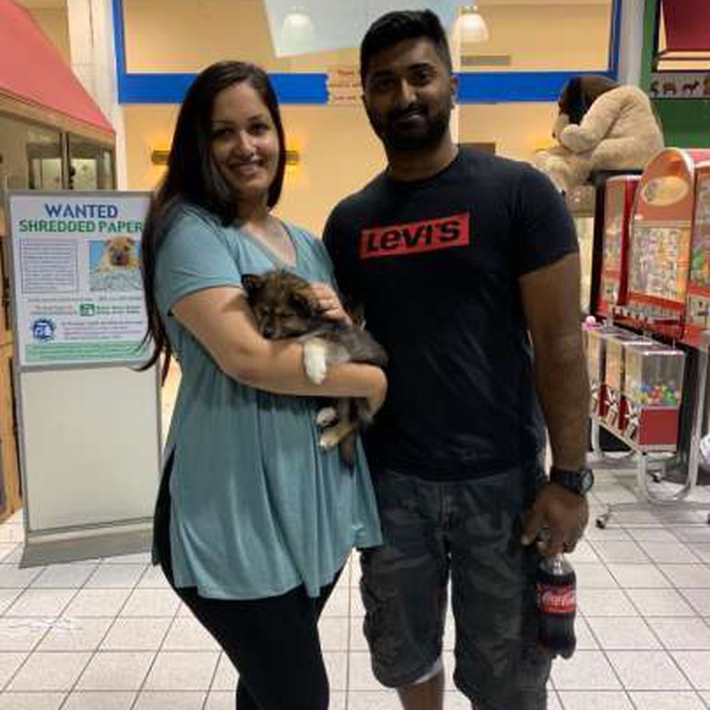 Two adults holding a puppy.