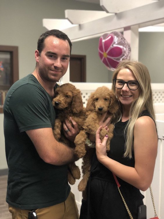 Two people holding a puppy each.